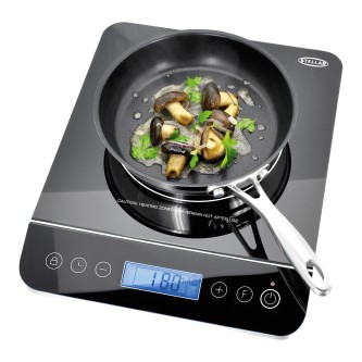 Induction Hob(Portable)