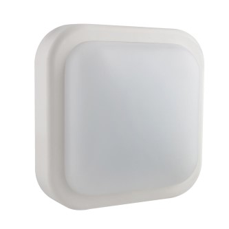 Bulkhead Square(White 14W)