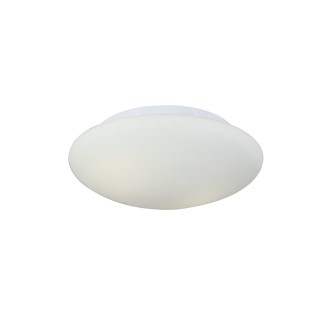 Ceiling Light(Ella)