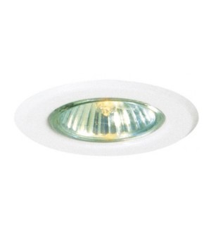 Downlight(50W)