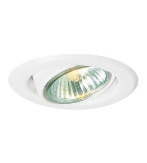 Downlight(50W)