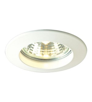 Downlight(50W)