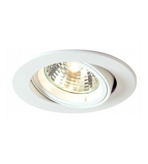 Downlight(50W)