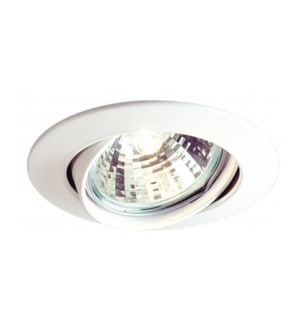 Downlight(50W)