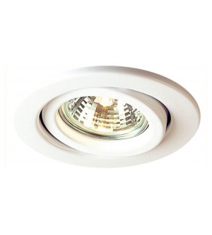 Downlight(50W)