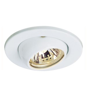 Downlight(50W)